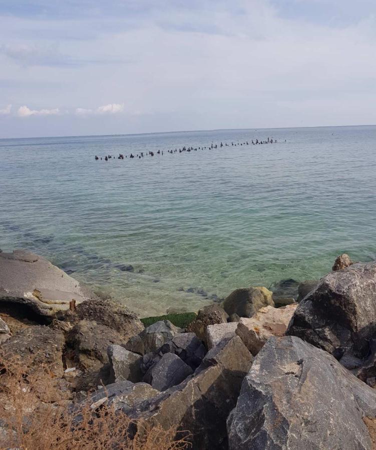 Vip Apartment In The Very Center Of Odessa With Sea View المظهر الخارجي الصورة